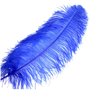 Blue Ostrich Feather | Flower Arrangements 35-40 CM Blue Ostrich Feather | Flower Arrangements 35-40 CM
